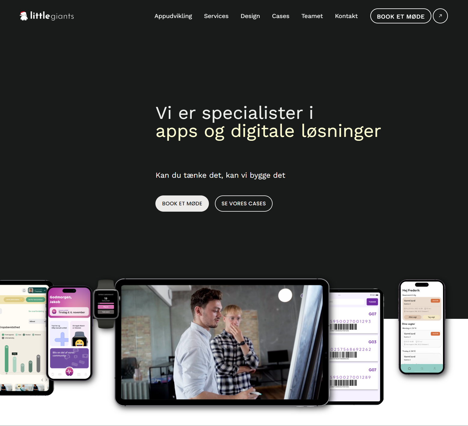 LittleGiants website (December 2024)